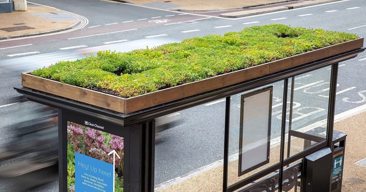 bee-bus-stops-across-europe-thumbnail.jpg - ViralBandit