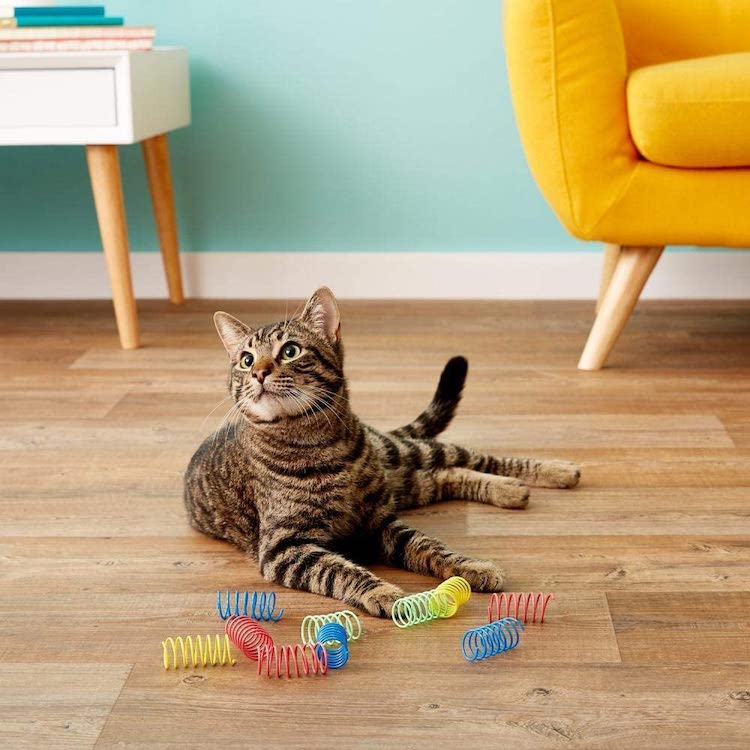 Small Cat Toys