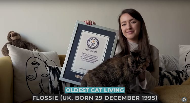 Flossie is The Oldest Cat In The World At Age 27