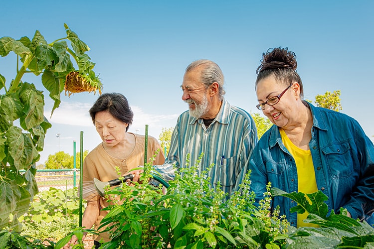 Therapeutic Community Gardening Reduced Loneliness During the Pandemic