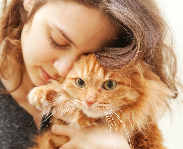 Study Finds That Cats Recognize Owner's Voices