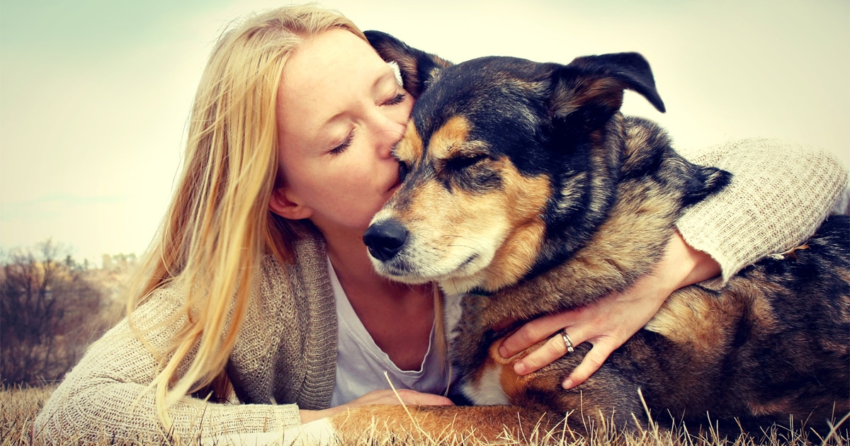 grieving-the-death-of-a-pet-study-thumbnail.jpg - ViralBandit