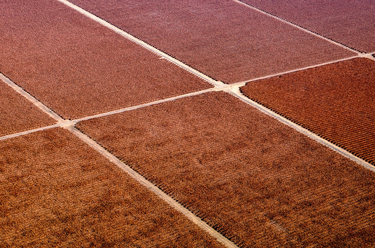 Aerial Photo of a Farm by Mitch Rouse
