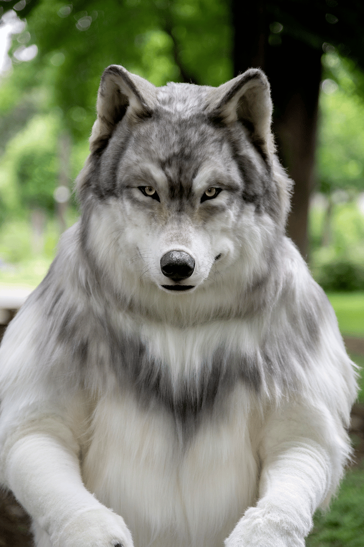 Lifelike Wolf Costume