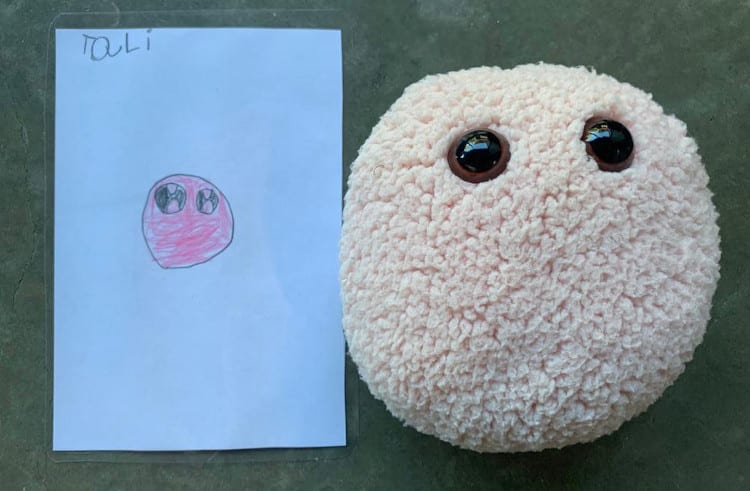 Devoted Teacher Makes Plush Toys Based on Her Students’ Drawings