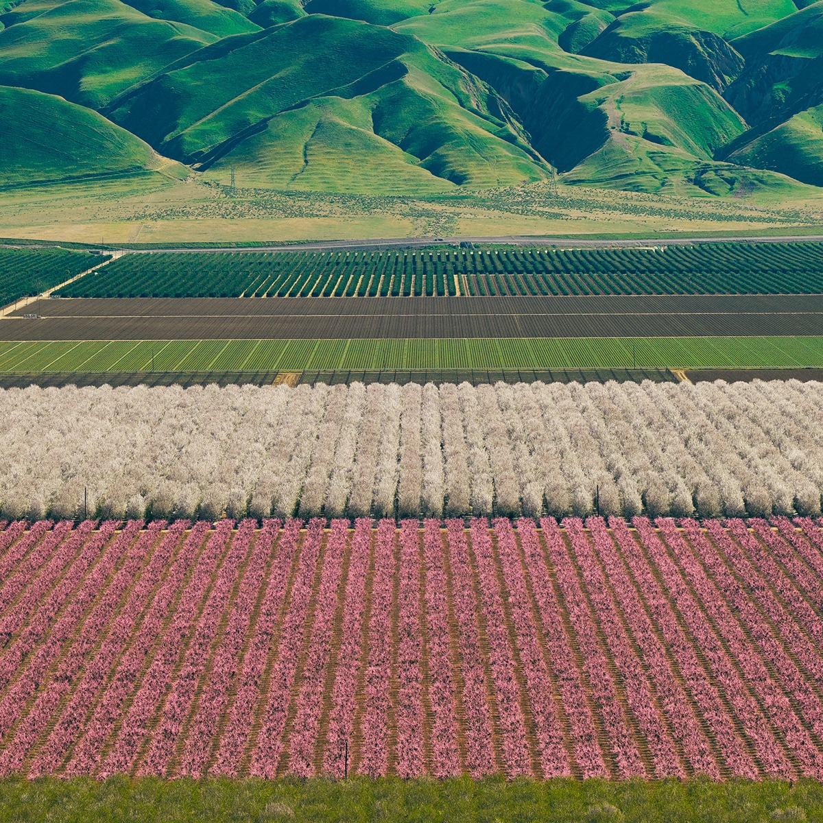 Farmland by Mitch Rouse