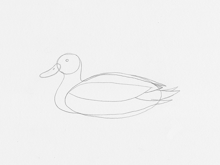 How to Draw a Duck Tutorial