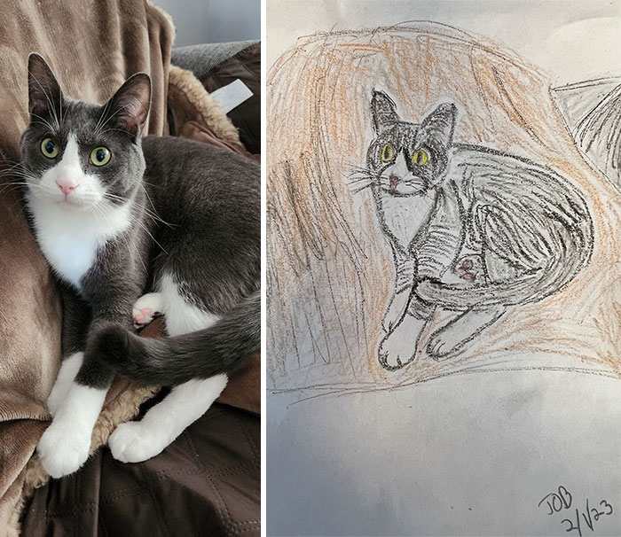 Shelter-raises-funds-through-bad-pet-drawings-63e66a682d7d7__700