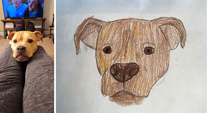 Shelter-raises-funds-through-bad-pet-drawings-63e66a56628c3__700