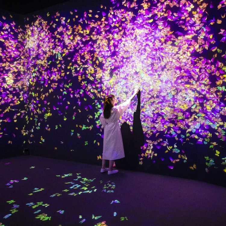 TeamLab Exhibition in Fukuoka That is Celebrating Spring