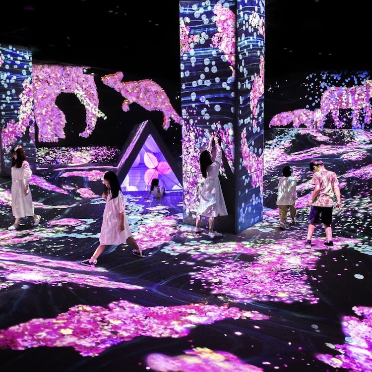 TeamLab Exhibition in Fukuoka That is Celebrating Spring