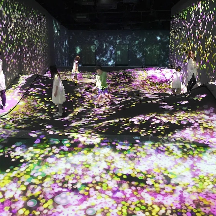 TeamLab Exhibition in Fukuoka That is Celebrating Spring