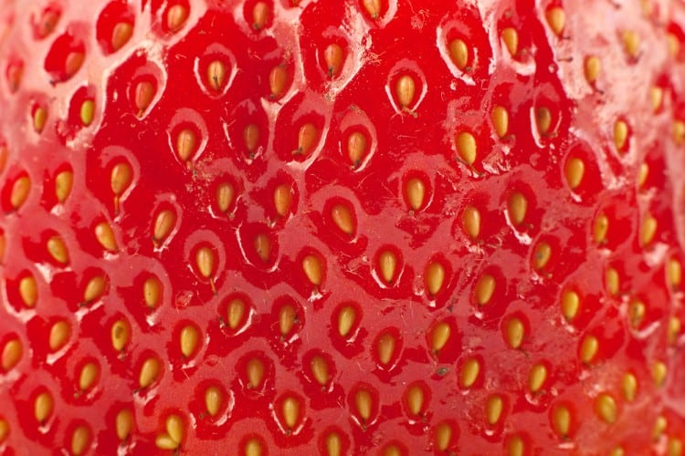 Close Up View of a Strawberry
