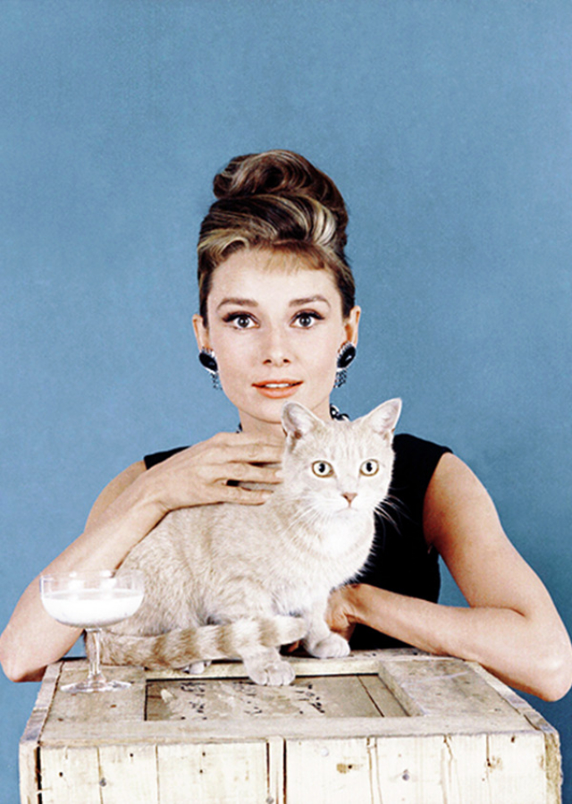 audrey-hepburn-orangey-2