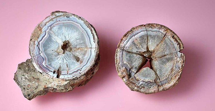 What Researchers Long Thought Was an Agate Crystal Is Actually Dinosaur Egg Fossil