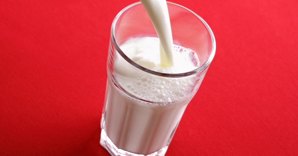 animal-free-dairy-thumbnail.jpg - ViralBandit