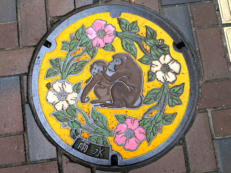 Oita city Oita pref, manhole cover （大分県大分市のマンホール）