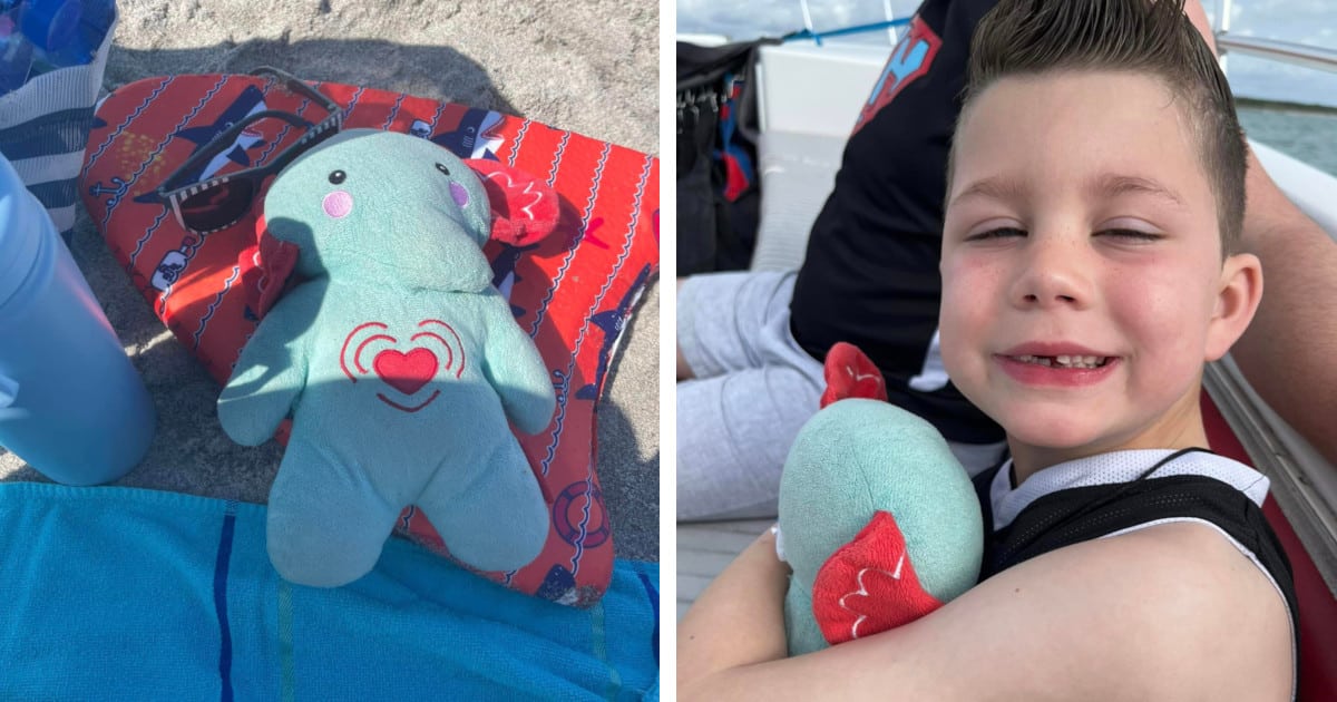 lost-stuffed-elephant-sons-ashes-liz-atkinson-fb.jpg - ViralBandit