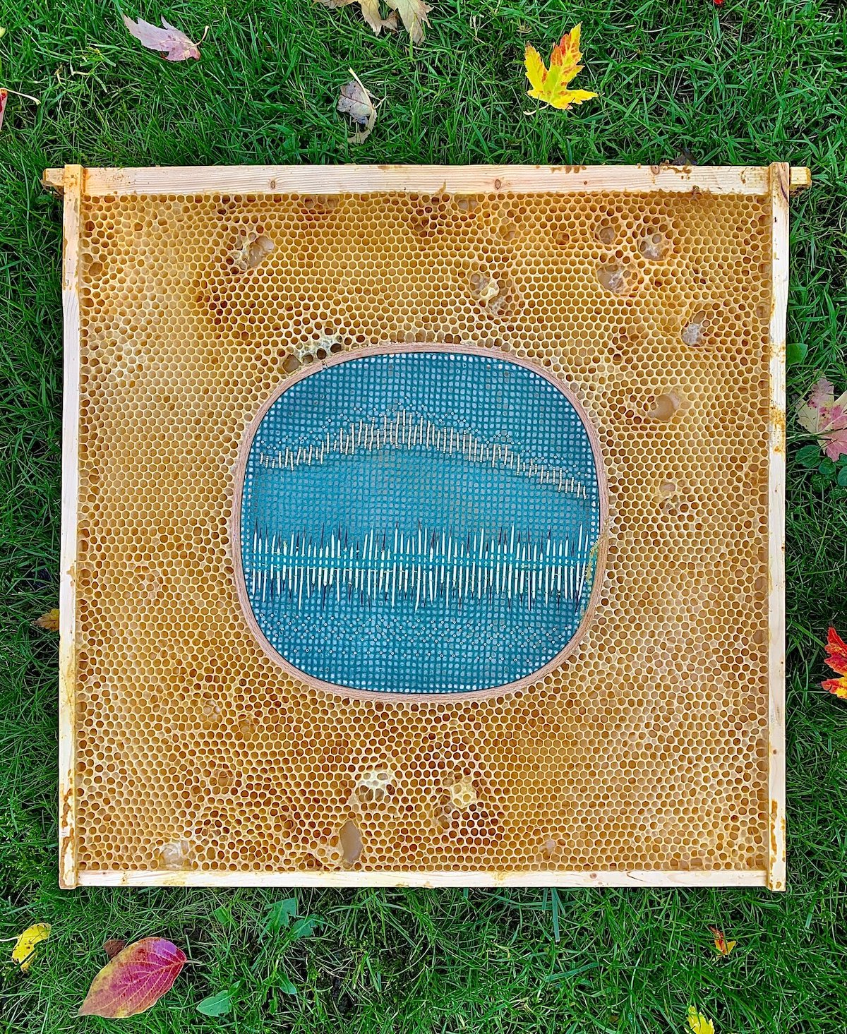 Bee Collaboration Art by Ava Roth