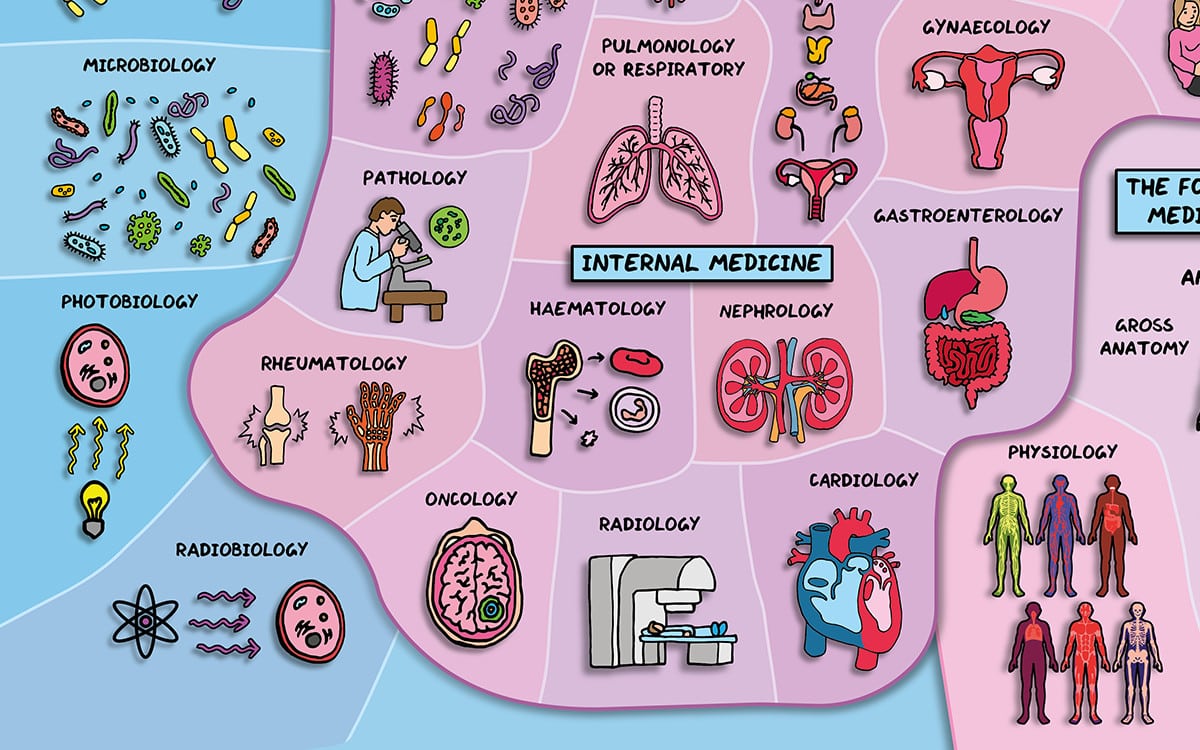 Details of Domain of Science's illustrated map of medicine