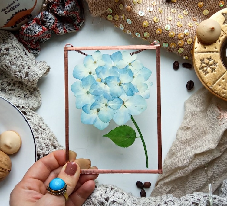 Pressed Flower Art