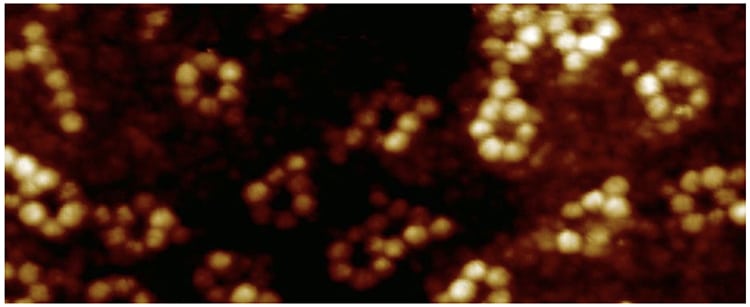 Scientists Announce X-Ray of a Single Atom