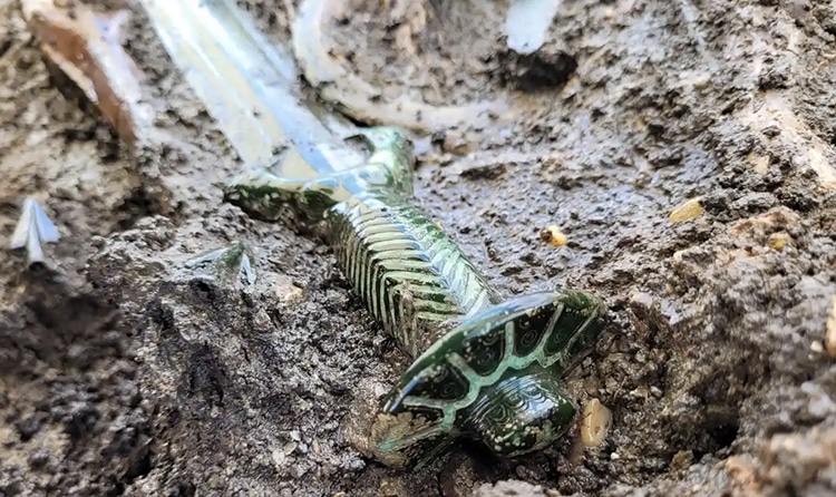 Shining Ancient Bronze Sword Discovered in Germany