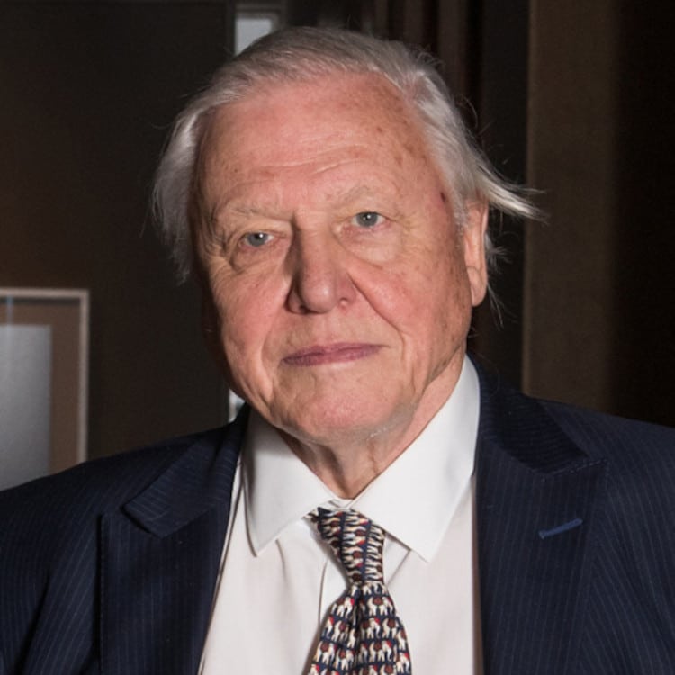David Attenborough