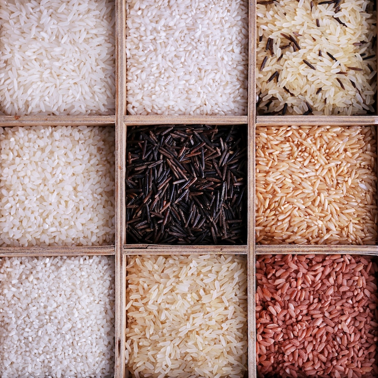 Different Types of Rice