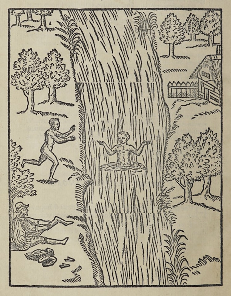 Explore this 16th Century Swimming Manual,