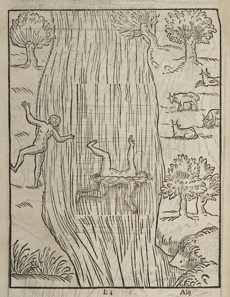 Explore this 16th Century Swimming Manual,