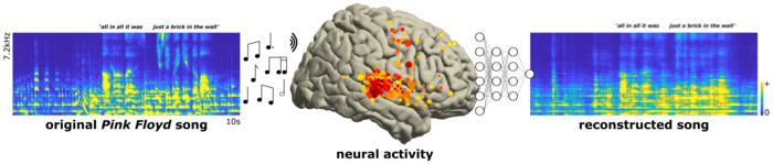 Scientists Study Brain Activity of People Listening to Music