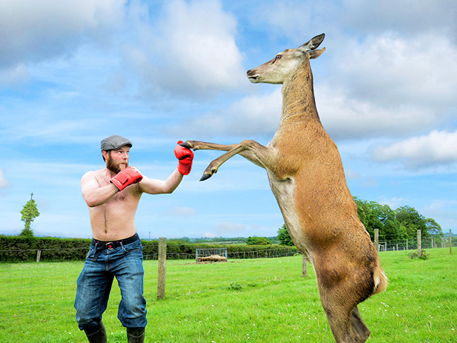 irish-farmer-calendar13