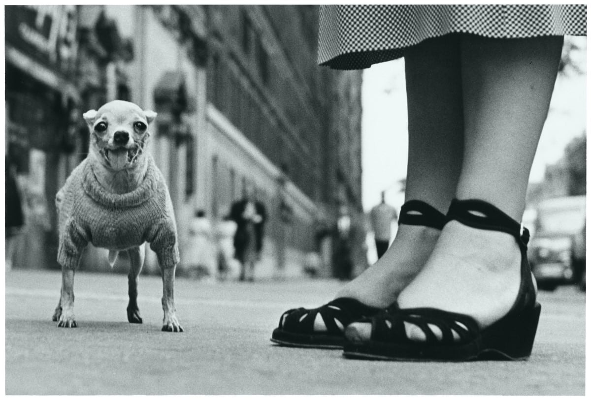 - ViralBandit Elliott Erwitt New York Photography