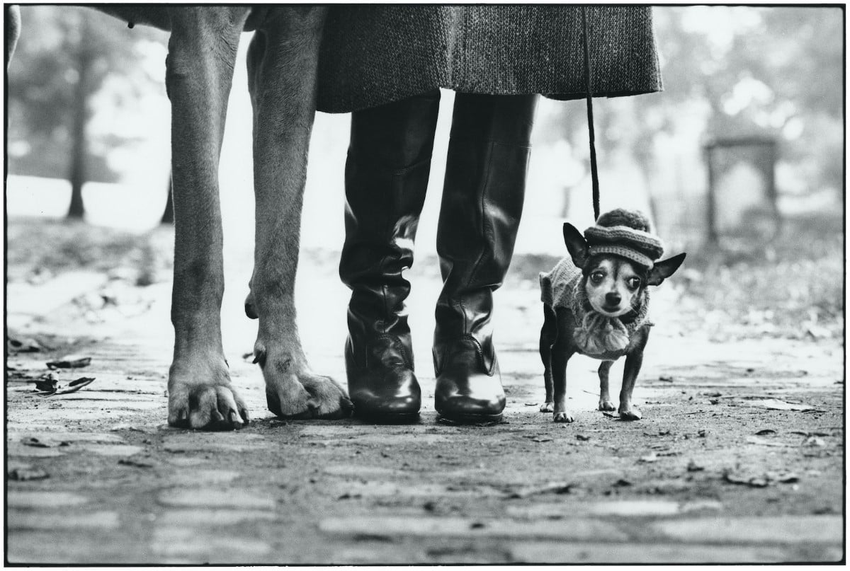 - ViralBandit New York Street Photography by Elliott Erwitt