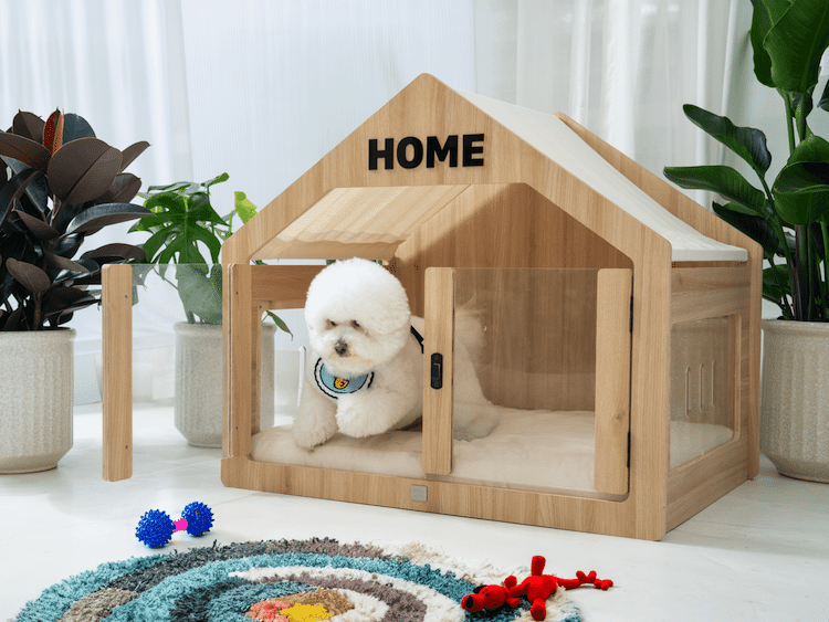 - ViralBandit Wooffy Modern Dog House