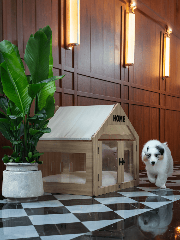 - ViralBandit Wooffy Modern Dog House