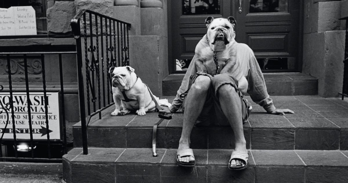 Elliott-Erwitt-Leica-Photo-Year-thumbnail.jpg - ViralBandit