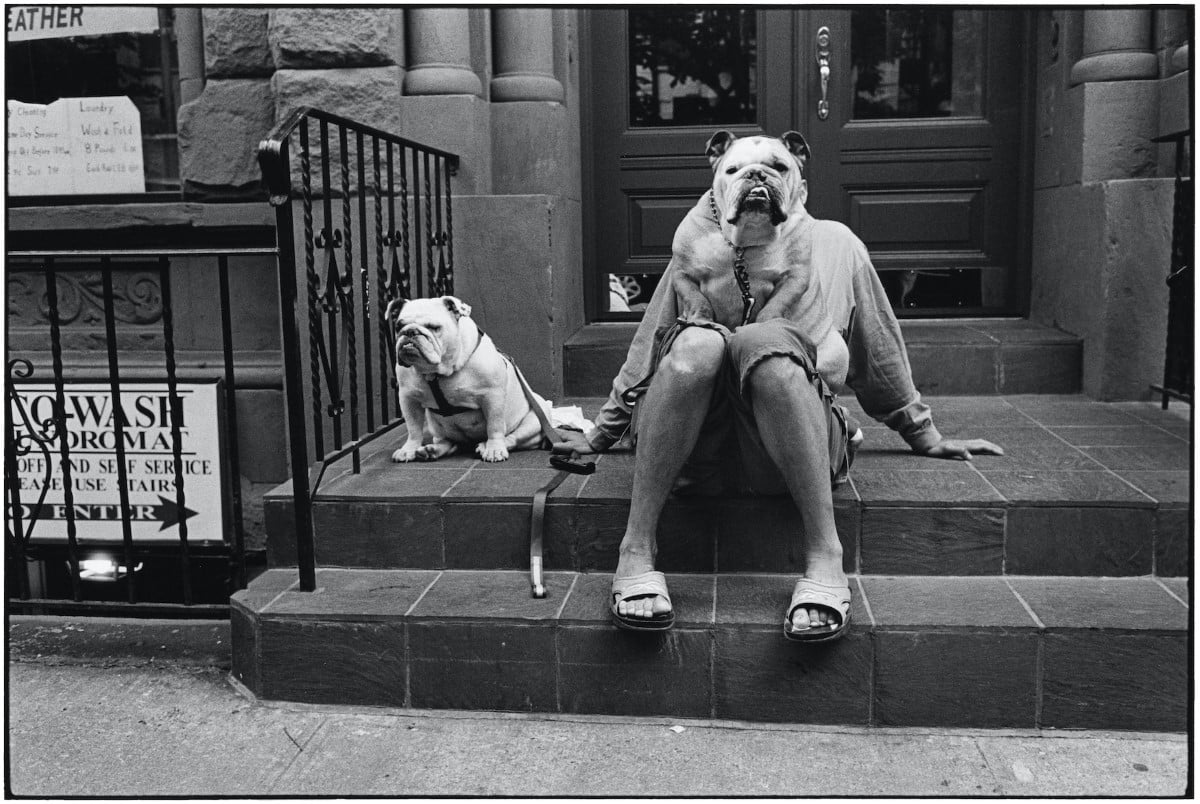 - ViralBandit Elliott Erwitt, 2023 Leica Photo of the Year