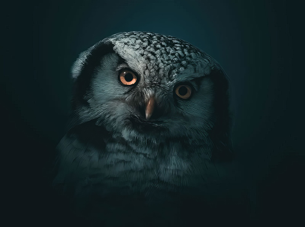 Spectacular Winning Photos Of The Eisa Maestro Awards 2023 » Design You Trust