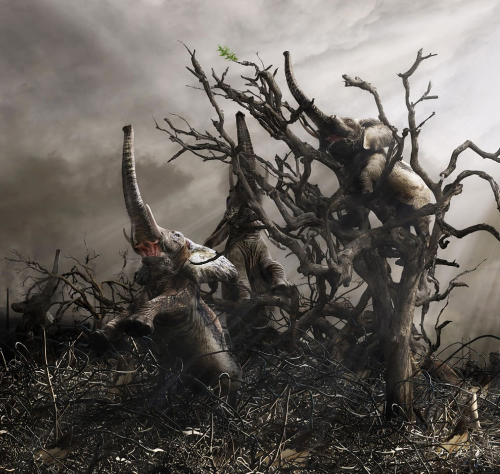 European Photography Awards 2023 04