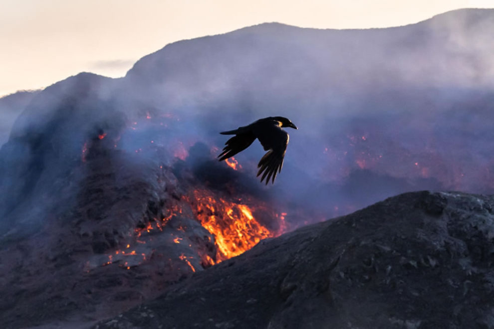 European Photography Awards 2023 22