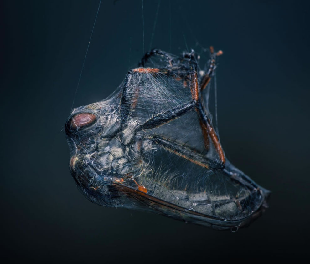 European Photography Awards 2023 24