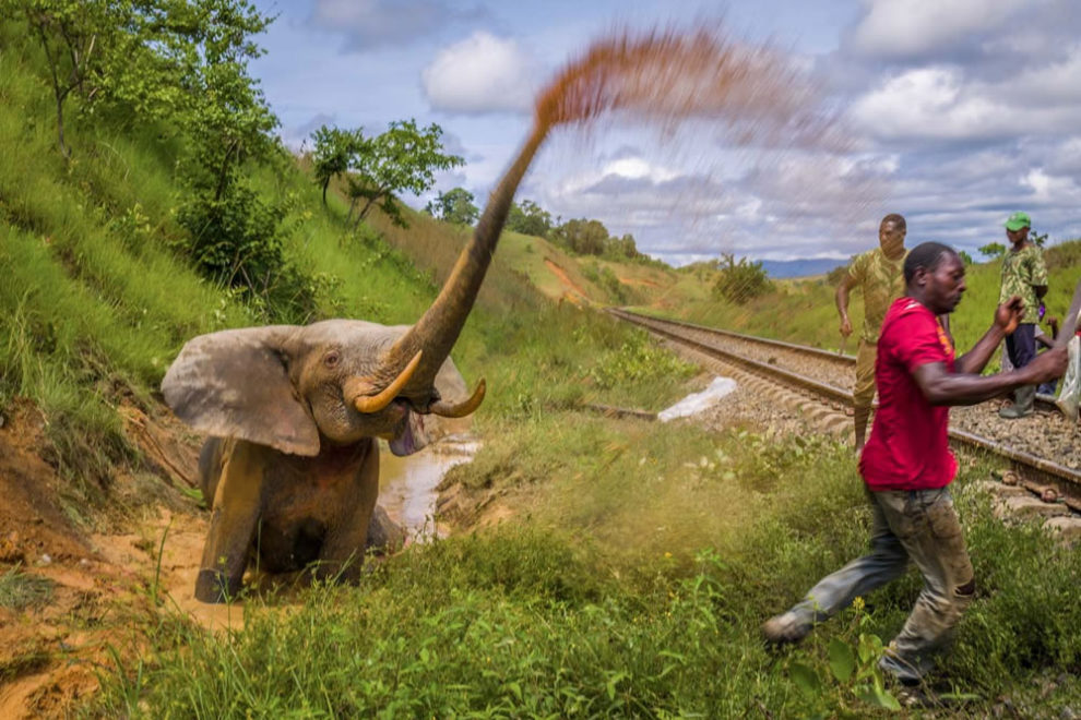 European Wildlife Photography Awards 14