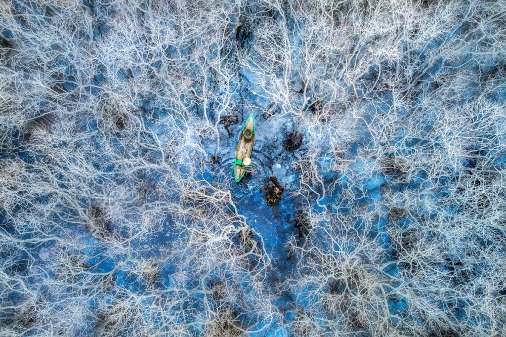 A fisherman navigates the winter mangroves in Hue, Vietnam