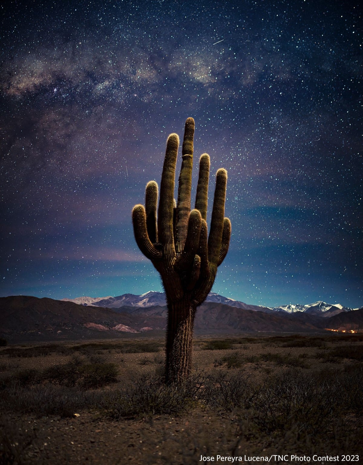El Cardón in Argentina at night