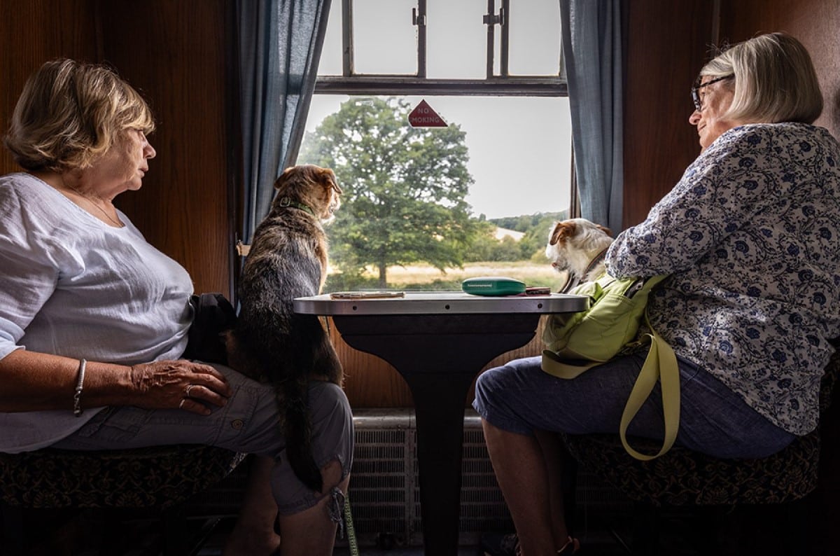Woman sitting on a train with her dog and cat