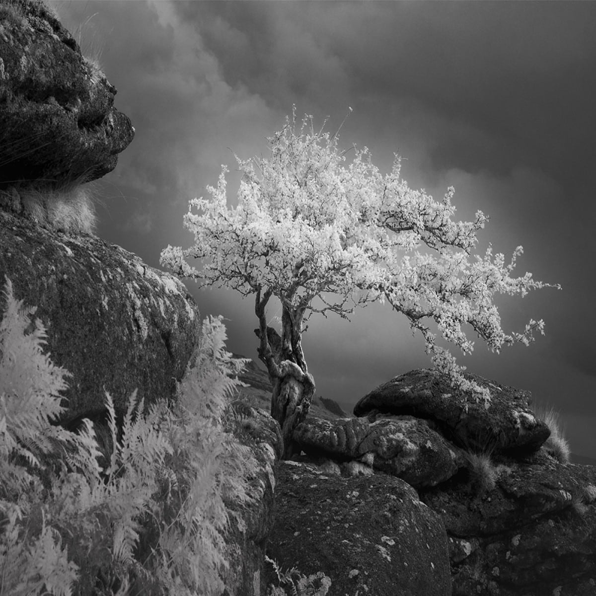 UK Landscape Photographer of the Year