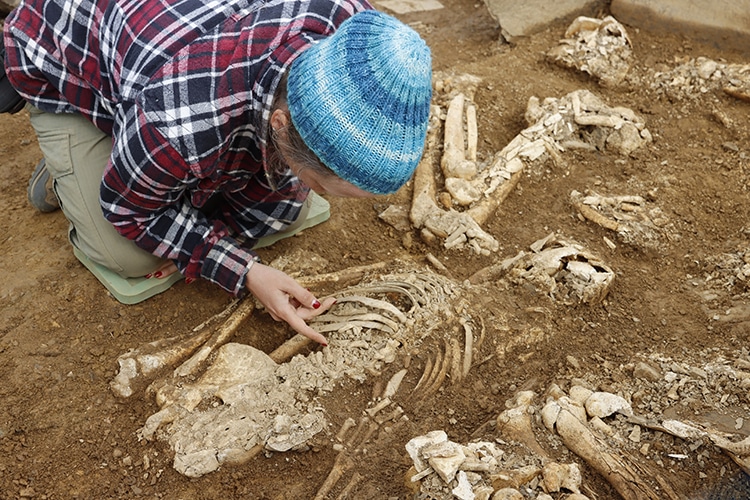 Impressive Scottish Neolithic Stone Tomb With Hugging Skeletons