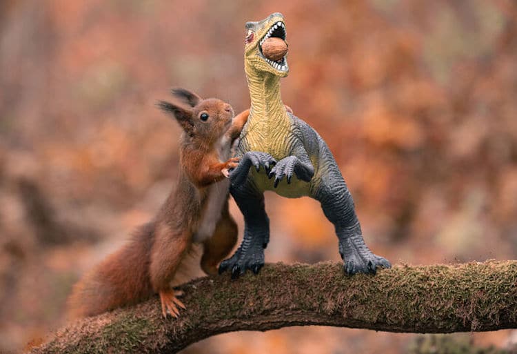 Squirrel and Dinosaur Photos by Niki Colemont